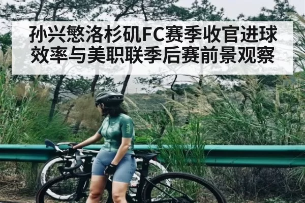 孙兴慜洛杉矶FC赛季收官进球效率与美职联季后赛前景观察